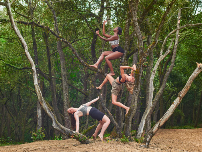 groupe de danseuses en vendée faisant de l'acrobranche